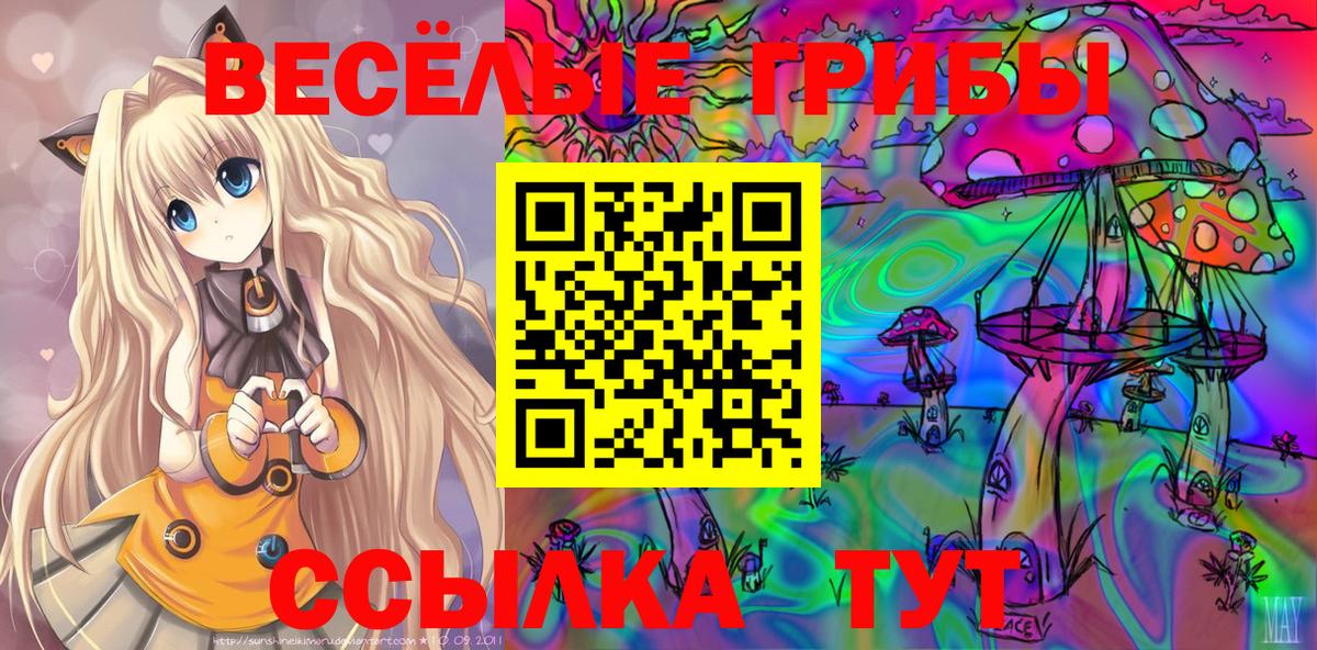 Псилоцибиновые грибы Psilocybe Учалы