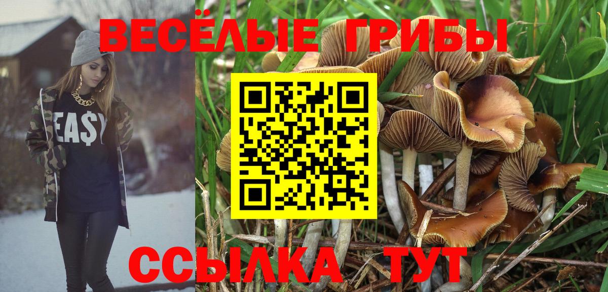 Псилоцибиновые грибы Cubensis  Вход с VPN  Учалы 